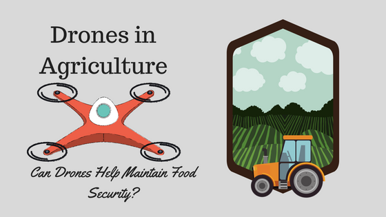 How to Make Data Driven Decisions in Agricultural Drone Mapping