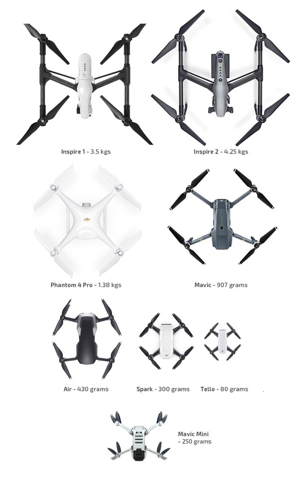 DJI Mavic Mini Drone Weighing Less than 250 grams