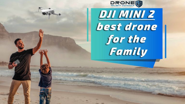 Mini 2: Best drone for the family.