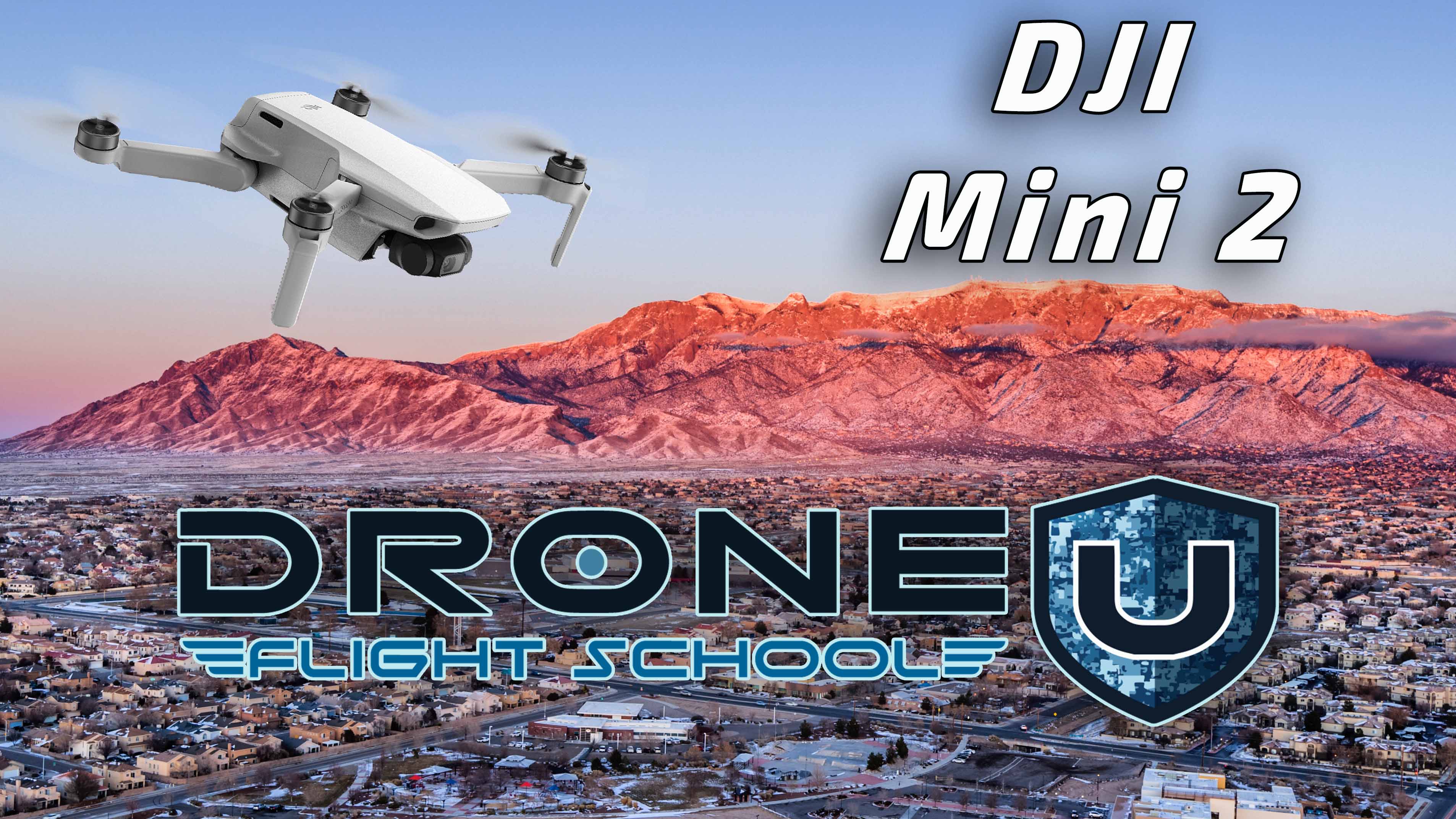 DJI Mini 2 is the best pocket drone - Drone U™