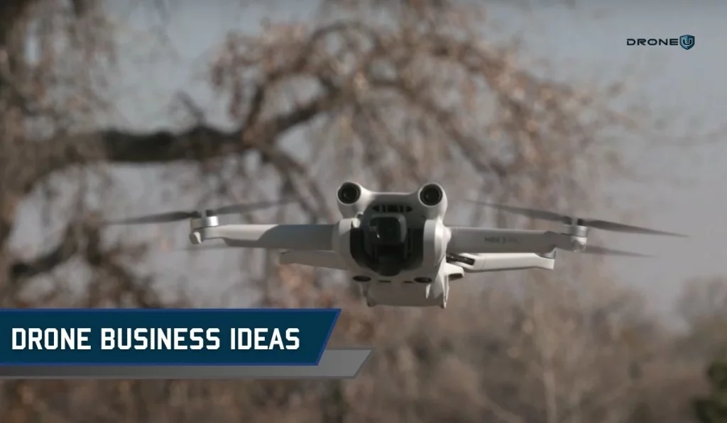 Innovative Drone Business Ideas for 2024