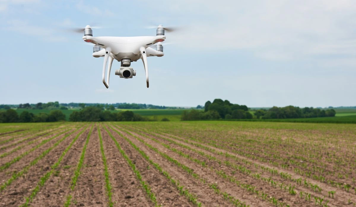 Using drone videos in agriculture
