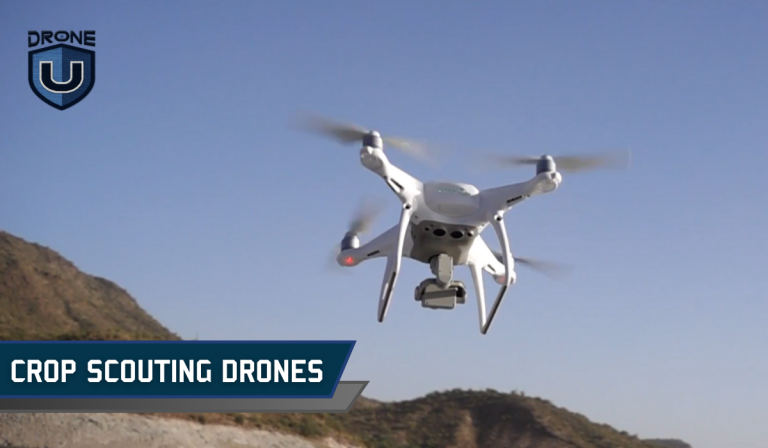 The 10 Best Drones for Crop Scouting