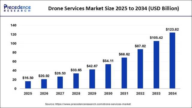 Drone Service Market Size