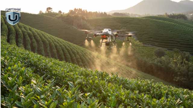 Top Drone Works in Rural Areas